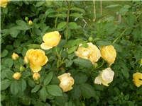 30b26e4d-Picture 317.jpg